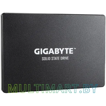 SSD диск Gigabyte 256GB (GP-GSTFS31256GTND)